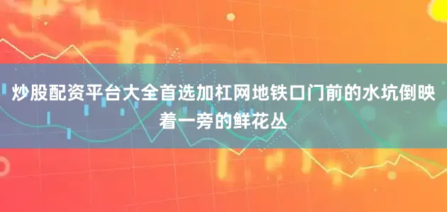 炒股配资平台大全首选加杠网地铁口门前的水坑倒映着一旁的鲜花丛