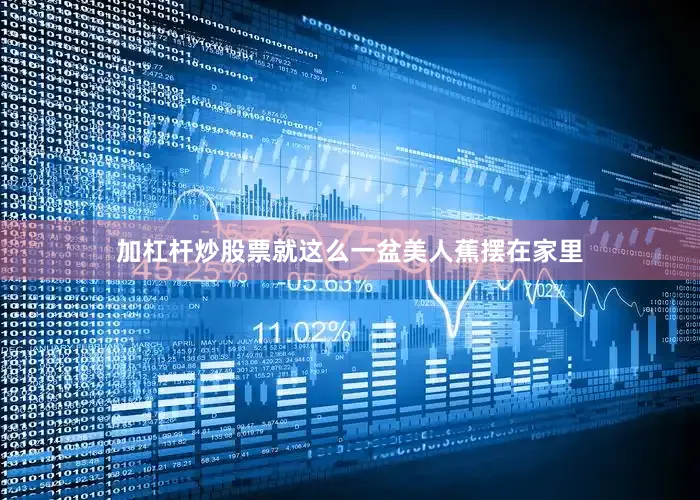 加杠杆炒股票就这么一盆美人蕉摆在家里