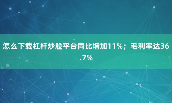 怎么下载杠杆炒股平台同比增加11%;毛利率达36.7%